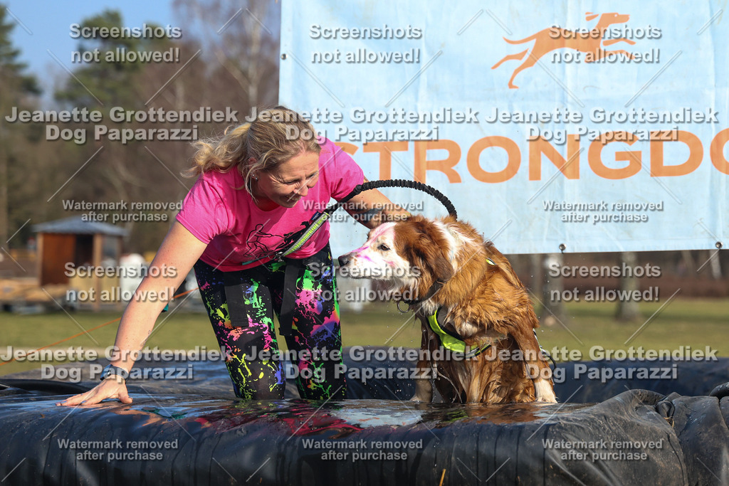 Dog Paparazzi - Strongdog North Mrz26-3437 | Dog Paparazzi Jeanette Grottendiek Fotografie & Videografie - Realisiert mit Pictrs.com
