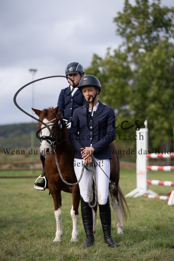 A7V07143 | Pferdefotograf