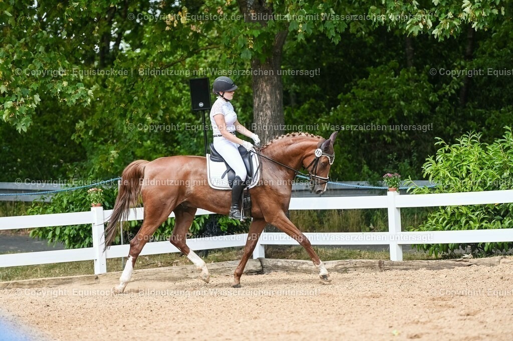20230715_02_Dressurreiterprüfung Kl.L_0246 | equistock