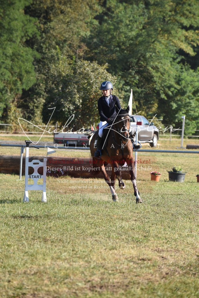 DSC_5108 | Pferde- und Turnierfotografie in Westsachsen. Pferdeportraits, Auftragszeichnungen und intuitive Kunst.