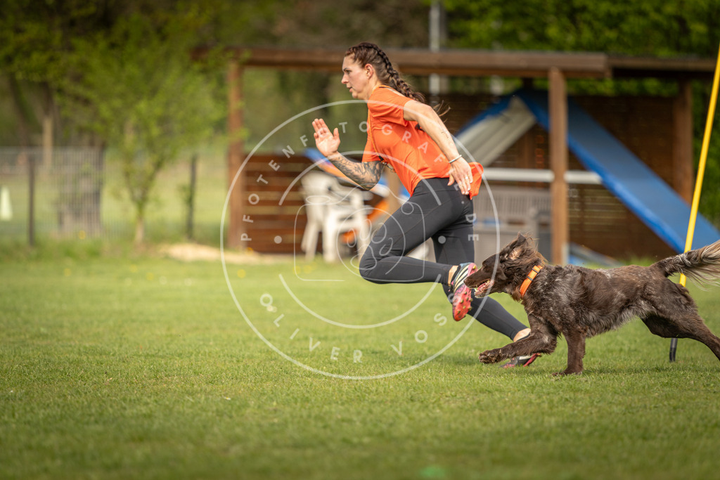 Pfotenfotografie_DV3A5443 | Hundefotografie, Tierfotograf, Pfotenfotografie, Fotoshooting Hund, Hunde Portrait, Hundesport, Hundeportraits, Heideshooting, Hunde, Sportfotograf, Hundefotograf, Turnierhundsport, THS,  - Realisiert mit Pictrs.com