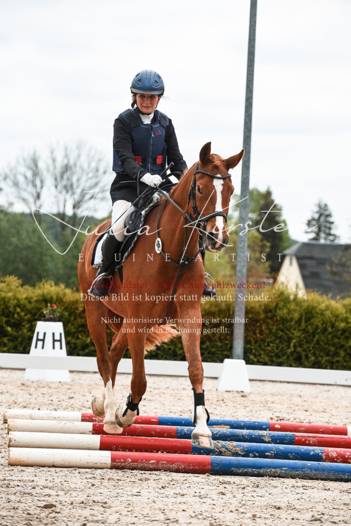 20230518_JK-Röhrsdorf-10-536 | Pferde- und Turnierfotografie in Westsachsen. Pferdeportraits, Auftragszeichnungen und intuitive Kunst.