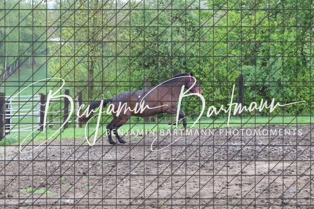 IMG_4253 | Benjamin Bartmann Photomoments