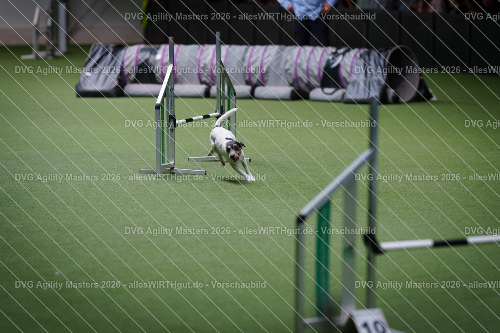 allesWIRTHgut_Tierfotografie-DVG_Agility_Masters_2026-11_09-7R504995 | Professionelle Tierfotografie in Mönchengladbach von Daniel Wirth (allesWIRTHgut). Liebevolle & natürliche Bilder von Hunden & Katzen für unvergessliche Erinnerungen.