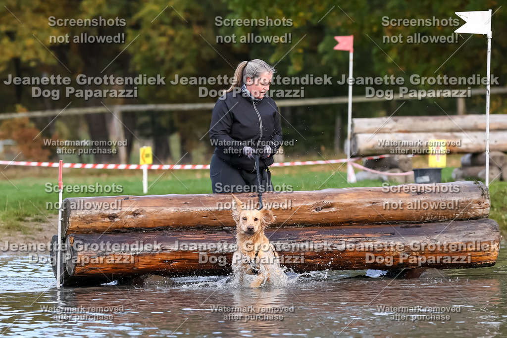Dog Paparazzi - Strongdog 10-25-6953 | Dog Paparazzi Jeanette Grottendiek Fotografie & Videografie - Realisiert mit Pictrs.com