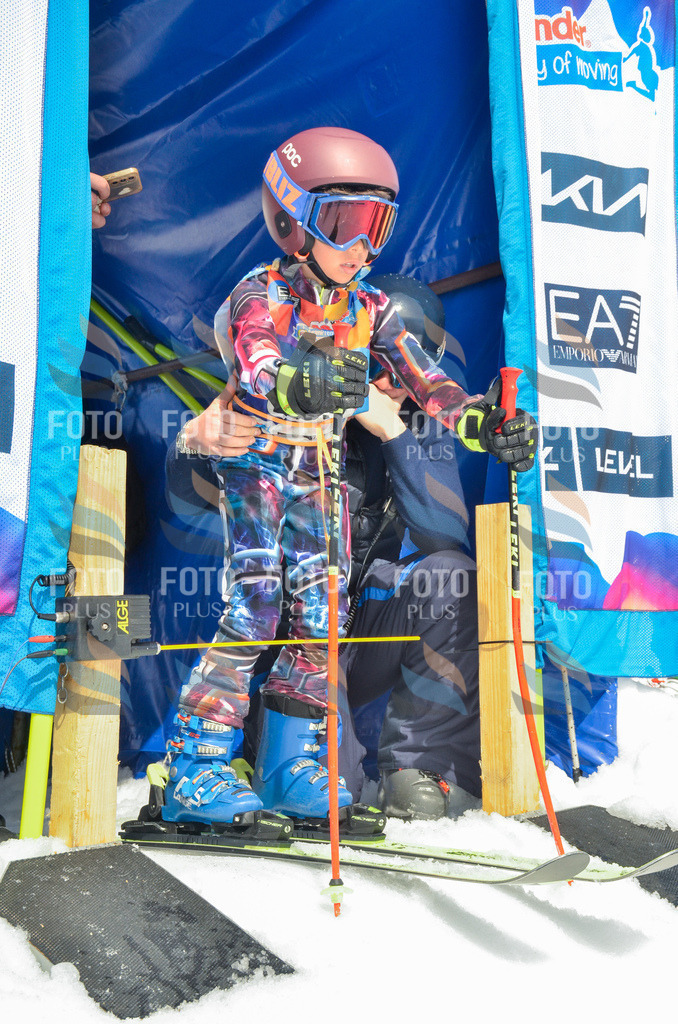 _ELE7410 | holidayphoto