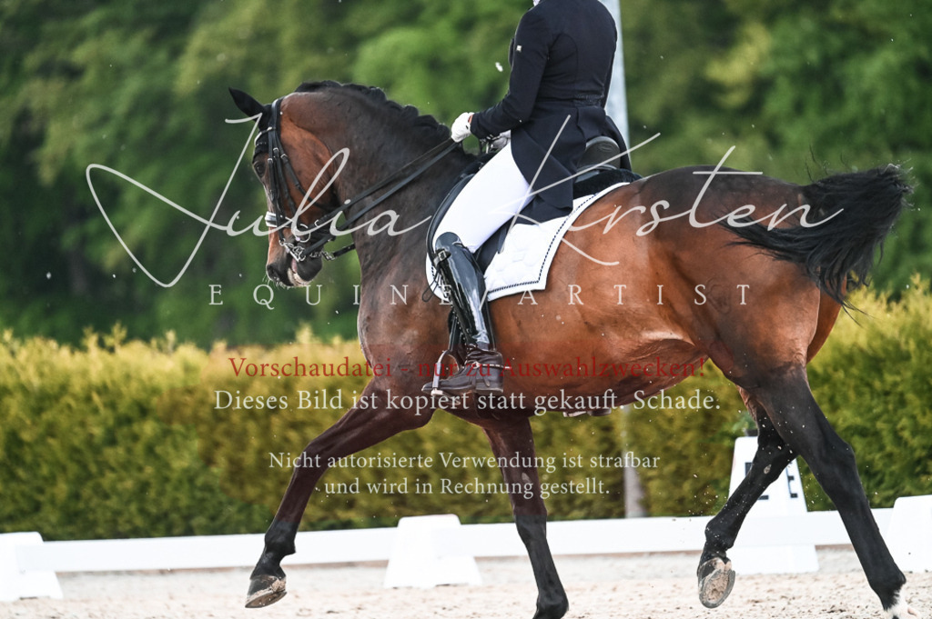 20230514_JK-Röhrsdorf-21-489 | Pferde- und Turnierfotografie in Westsachsen. Pferdeportraits, Auftragszeichnungen und intuitive Kunst.