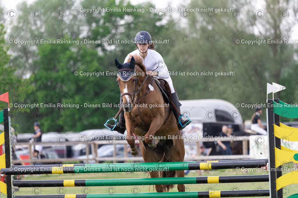 CL5A3432 | Emilia Reinking Fotografie - Realisiert mit Pictrs.com