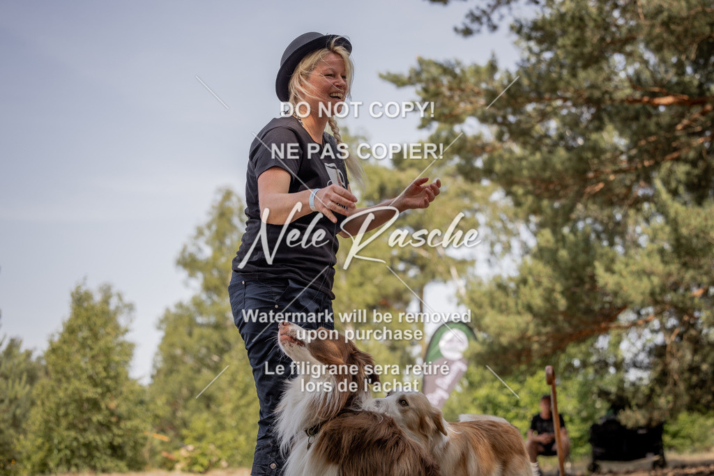 nelerasche_soDD2_178 | nelerasche