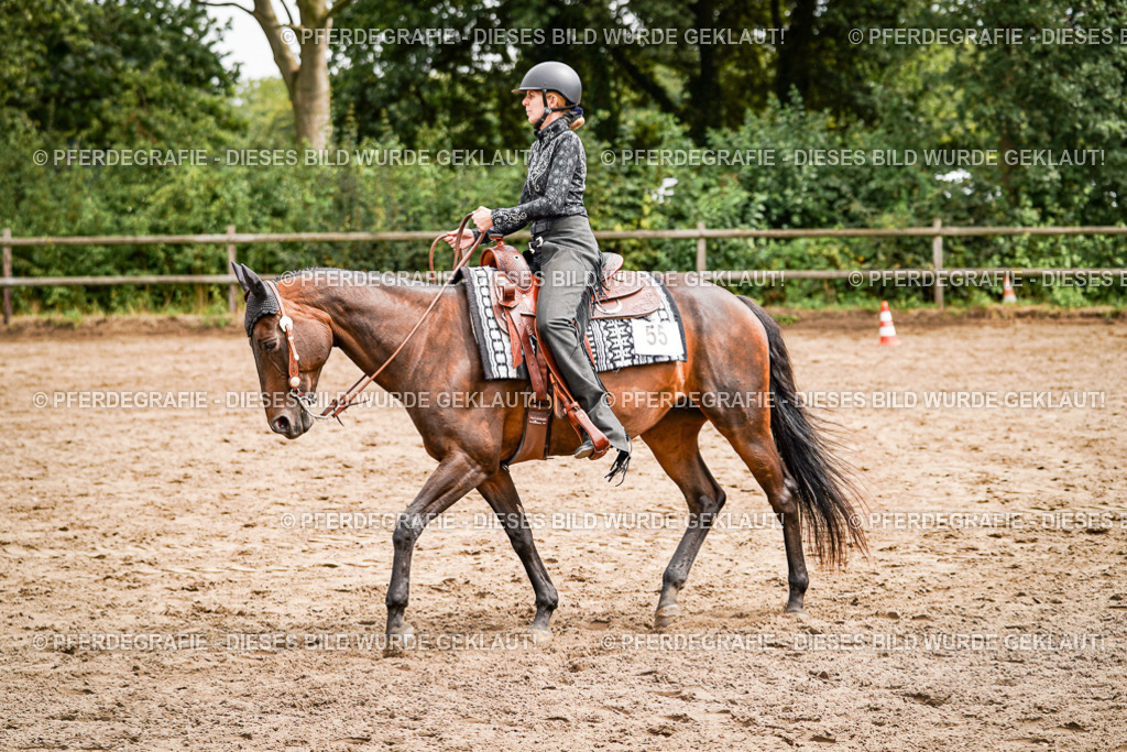 DSC04792 | Pferdegrafie