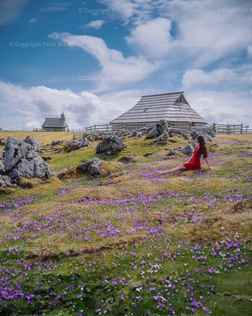Velika Planina14 | piet_flosse