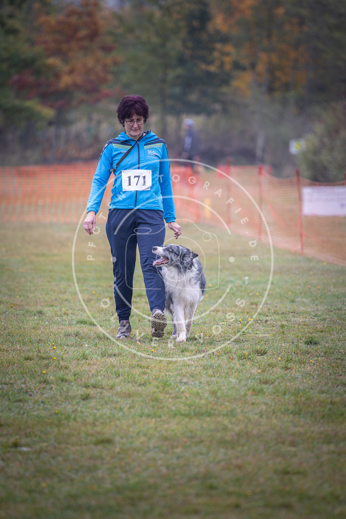 Pfotenfotografie_DV3A9145 | Hundefotografie, Tierfotograf, Pfotenfotografie, Fotoshooting Hund, Hunde Portrait, Hundesport, Hundeportraits, Heideshooting, Hunde, Sportfotograf, Hundefotograf, Turnierhundsport, THS,  - Realisiert mit Pictrs.com