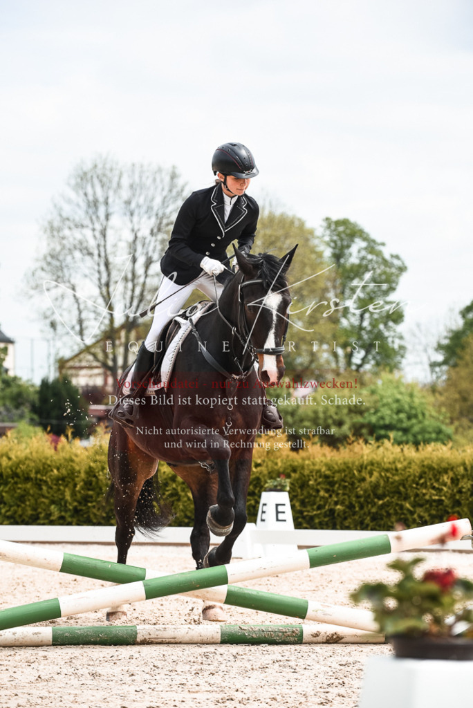 20230518_JK-Röhrsdorf-10-827 | Pferde- und Turnierfotografie in Westsachsen. Pferdeportraits, Auftragszeichnungen und intuitive Kunst.