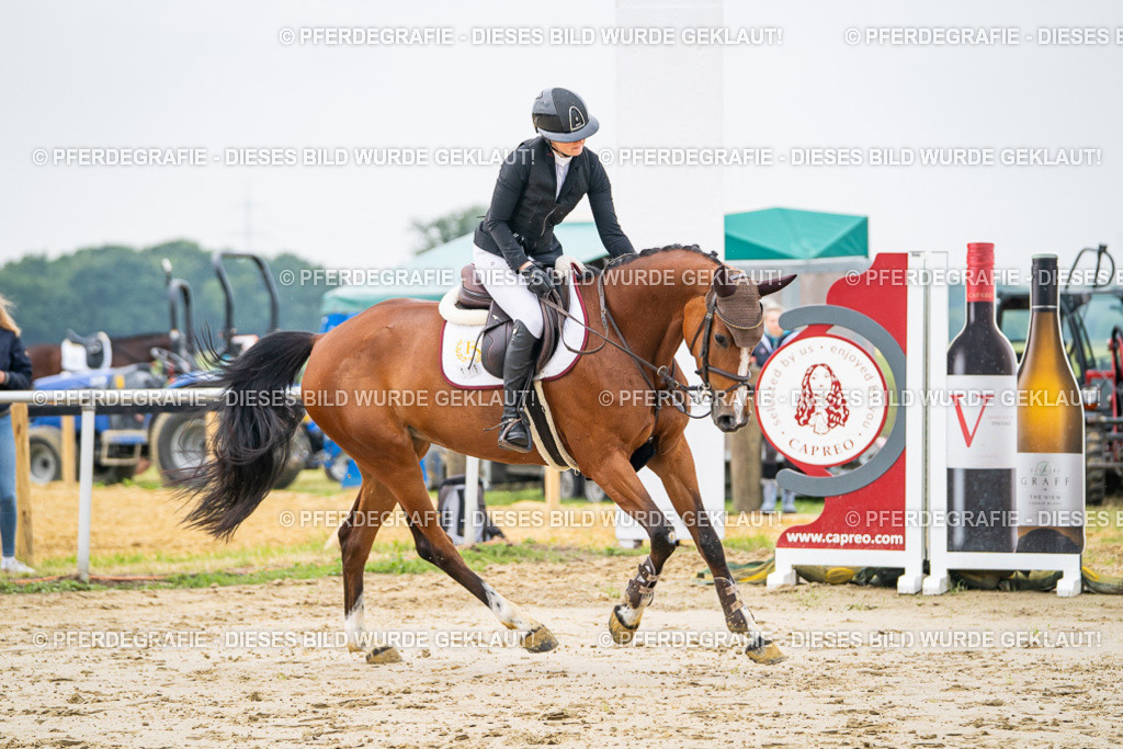 DSC09414 | Pferdegrafie