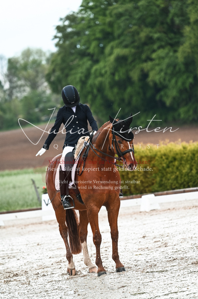 DSC_4259 | Pferde- und Turnierfotografie in Westsachsen. Pferdeportraits, Auftragszeichnungen und intuitive Kunst.