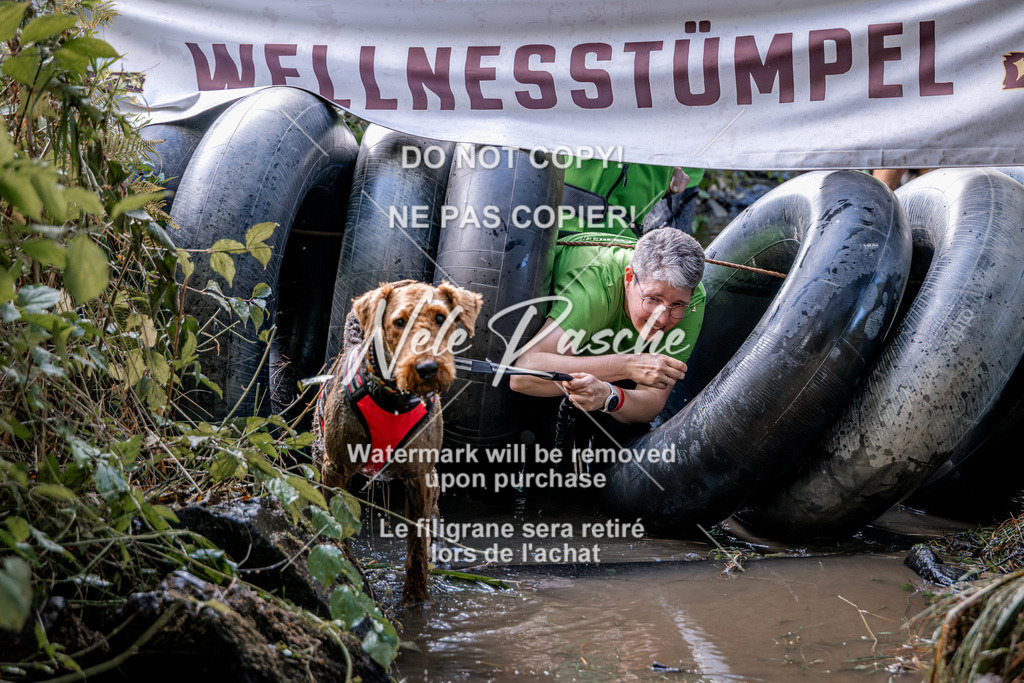 nelerasche_Hunsrück2026_Sa1400-1500_73 | nelerasche