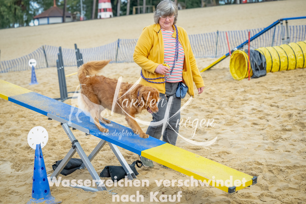 0911_ZZ92022-Bearbeitet | kk-dogfotos
