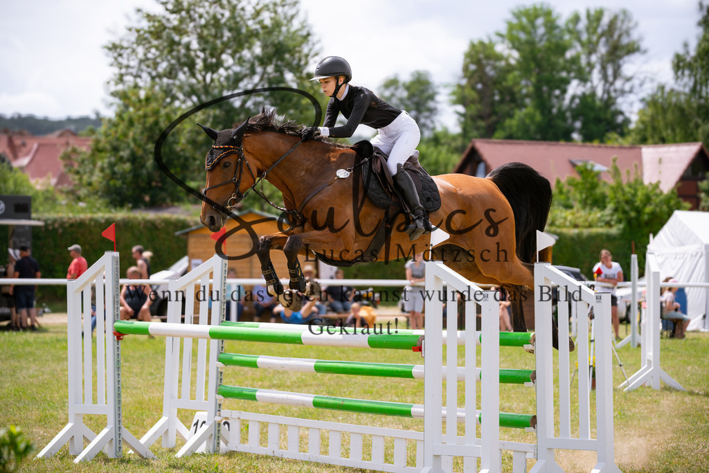 A7V02006 | Pferdefotograf