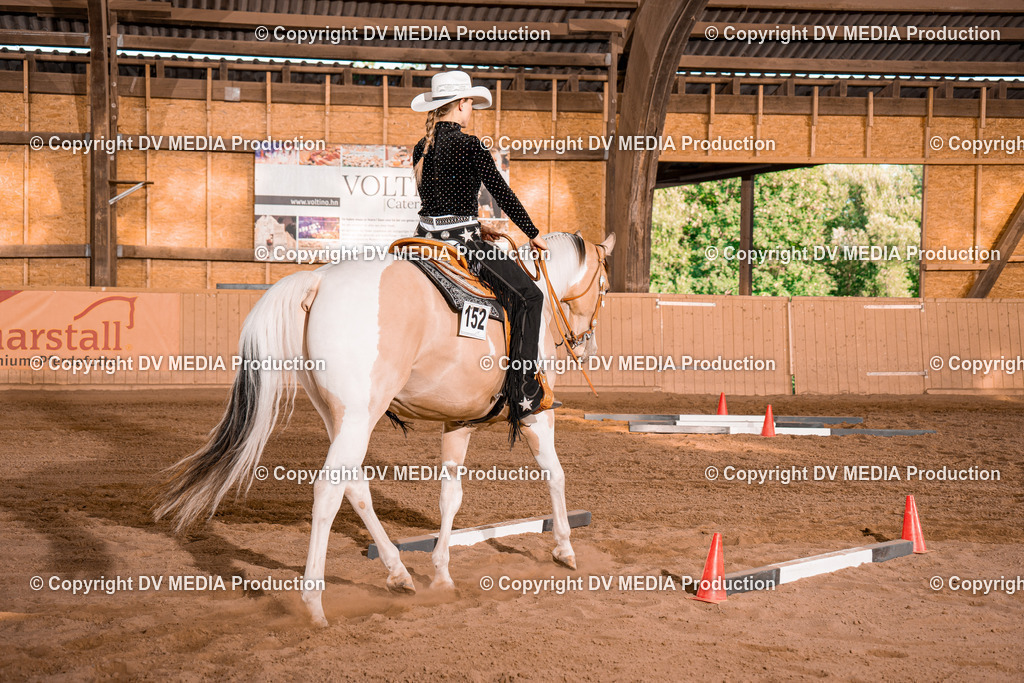 NE101246 | dv-media-shop - Realisiert mit Pictrs.com