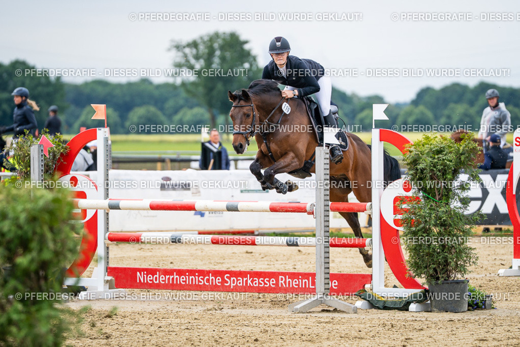 DSC05117 | Pferdegrafie