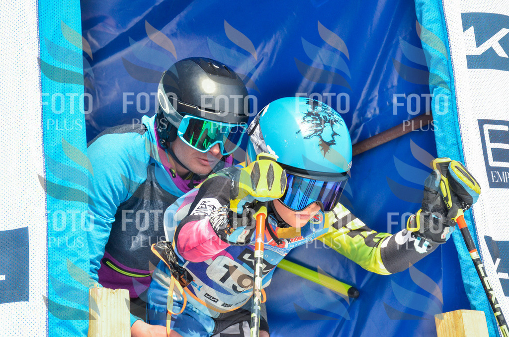 _ELE6795 | holidayphoto