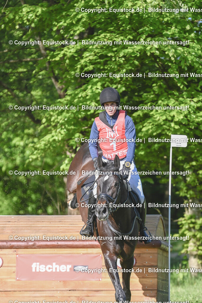 20250517_CCI2_Gelände_0027-2 | Foto: Thomas Hartig
