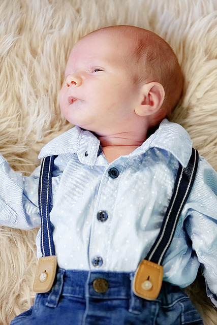 DP1_1750 | Alfred Kaipel Fotografen Webseite. Digipic, Dein Partner wenn´s um Fotos geht. Shootings. TFP, Events, Sportfotografie, Fotoartikel, Funartikel,  - Realisiert mit Pictrs.com