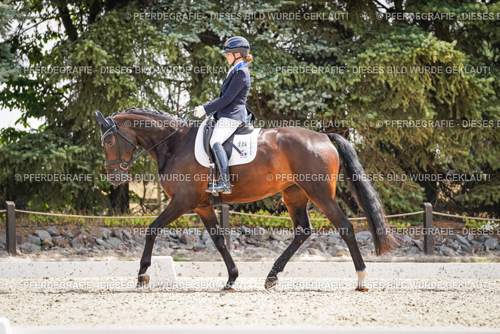 DSC09205 | Pferdegrafie