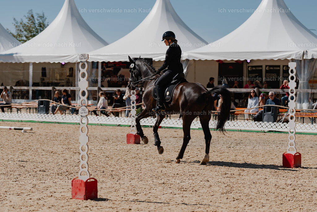 Leonie24_FHC2025-31 | working equitationturnier fotograf videograf stoibphotography marixx film working equitation deutschland reitsport turnierfotografie eventfotografie equestrian events