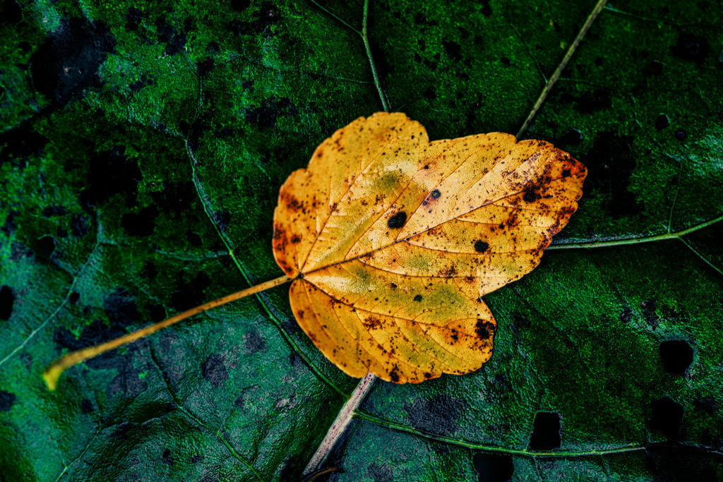 _T2A8438 | ap-design // andreas plenk - Realisiert mit Pictrs.com