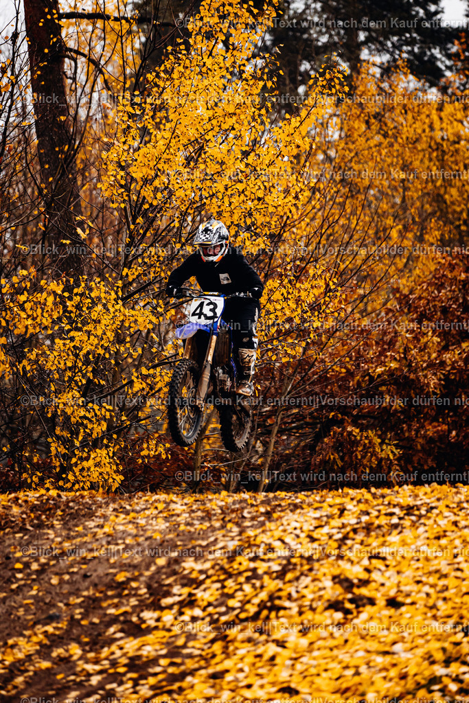 E68A4231 | blick_win_kel