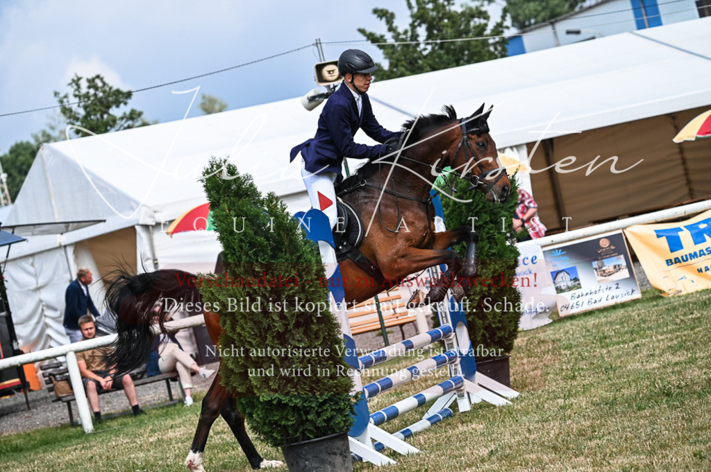 DSC_8389 | Pferde- und Turnierfotografie in Westsachsen. Pferdeportraits, Auftragszeichnungen und intuitive Kunst.