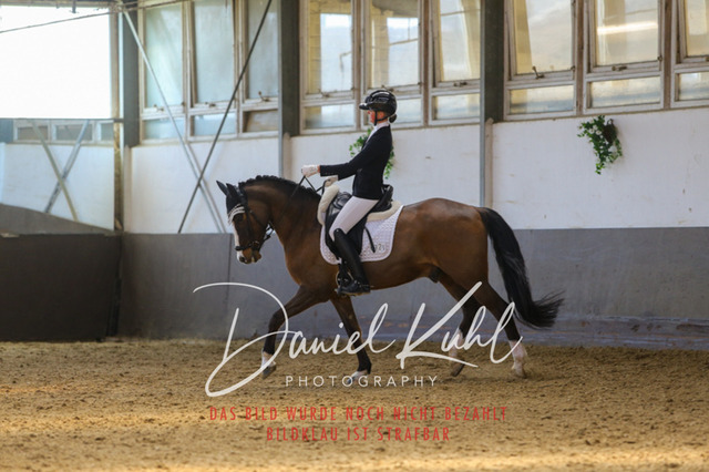 IMG_2887 | Turniersportfotografie; Pferdefotografie; Dressurfotografie