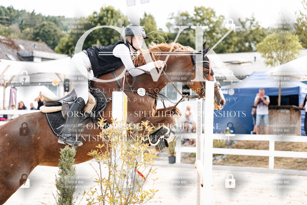 CK902080 | Turnierfotografie Pferdefotografie Trier Rheinland-Pfalz Pferdesport Reitsport Tierfotografie Sportfotografie Pferdevideo Pferdevideografie Equestrianvideography equestrianphotography  - Realisiert mit Pictrs.com