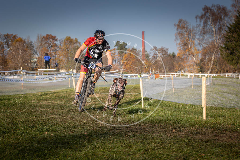 CaniXpix_0L8A7032 | Hundefotografie, Tierfotograf, Pfotenfotografie, Fotoshooting Hund, Hunde Portrait, Hundesport, Hundeportraits, Heideshooting, Hunde, Sportfotograf, Hundefotograf, Turnierhundsport, THS,  - Realisiert mit Pictrs.com