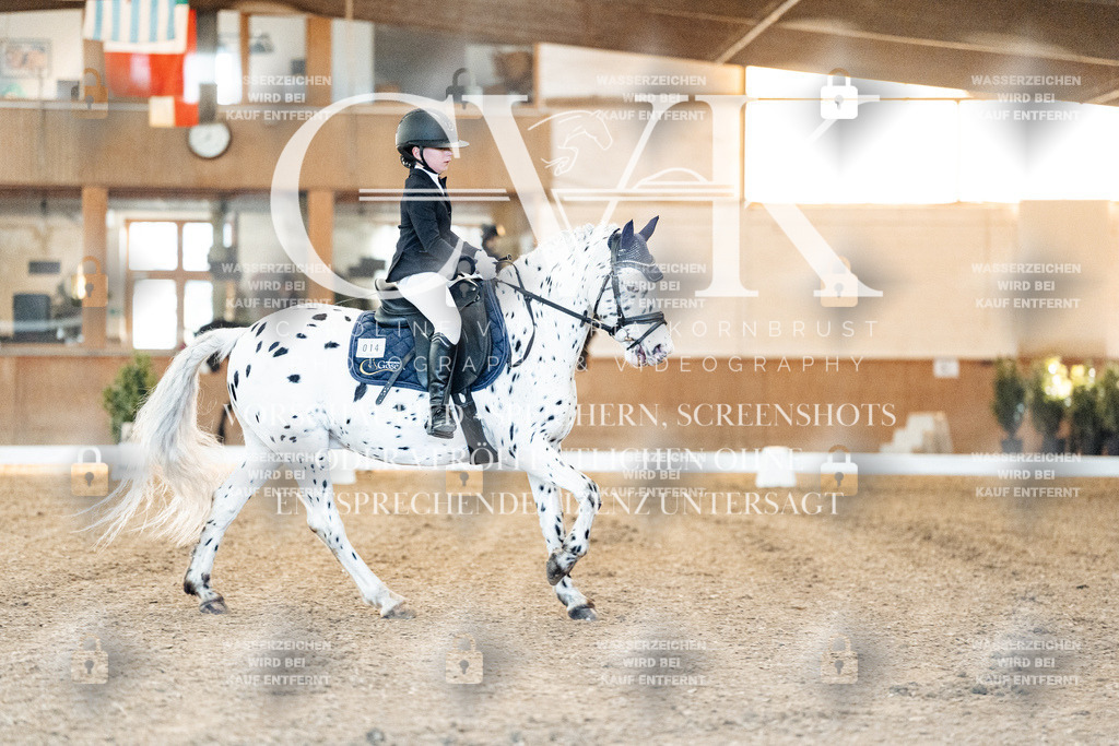 CK906415 | Turnierfotografie Pferdefotografie Trier Rheinland-Pfalz Pferdesport Reitsport Tierfotografie Sportfotografie Pferdevideo Pferdevideografie Equestrianvideography equestrianphotography  - Realisiert mit Pictrs.com