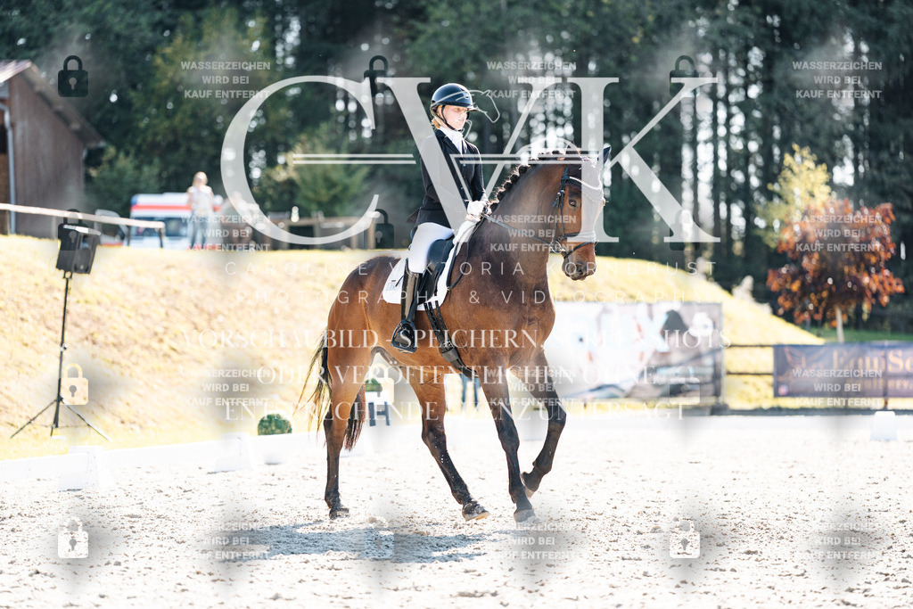 CK905718 | Turnierfotografie Pferdefotografie Trier Rheinland-Pfalz Pferdesport Reitsport Tierfotografie Sportfotografie Pferdevideo Pferdevideografie Equestrianvideography equestrianphotography  - Realisiert mit Pictrs.com