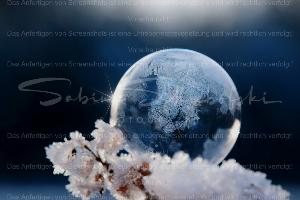 Frozen Bubble / gefrorene Seifenblase | People- und Tierfotografie, Imageaufnahmen, Veranstaltungsfotografie und Wandbilder aus der Natur ★ Made in Germany ✔️ Druck + Downloads ✔️ Naturfotografie in Top Qualität ★ schneller Versand, weltweite Lieferung! - Realisiert mit Pictrs.com
