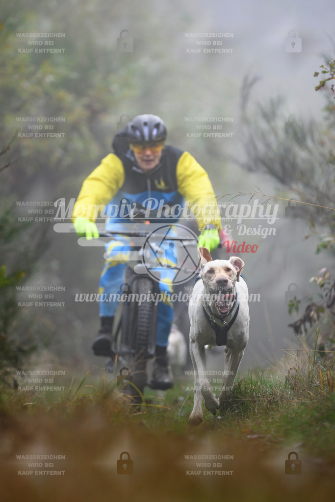 MompixPhotography_20TSB_E4_Bike-118 | PayLife