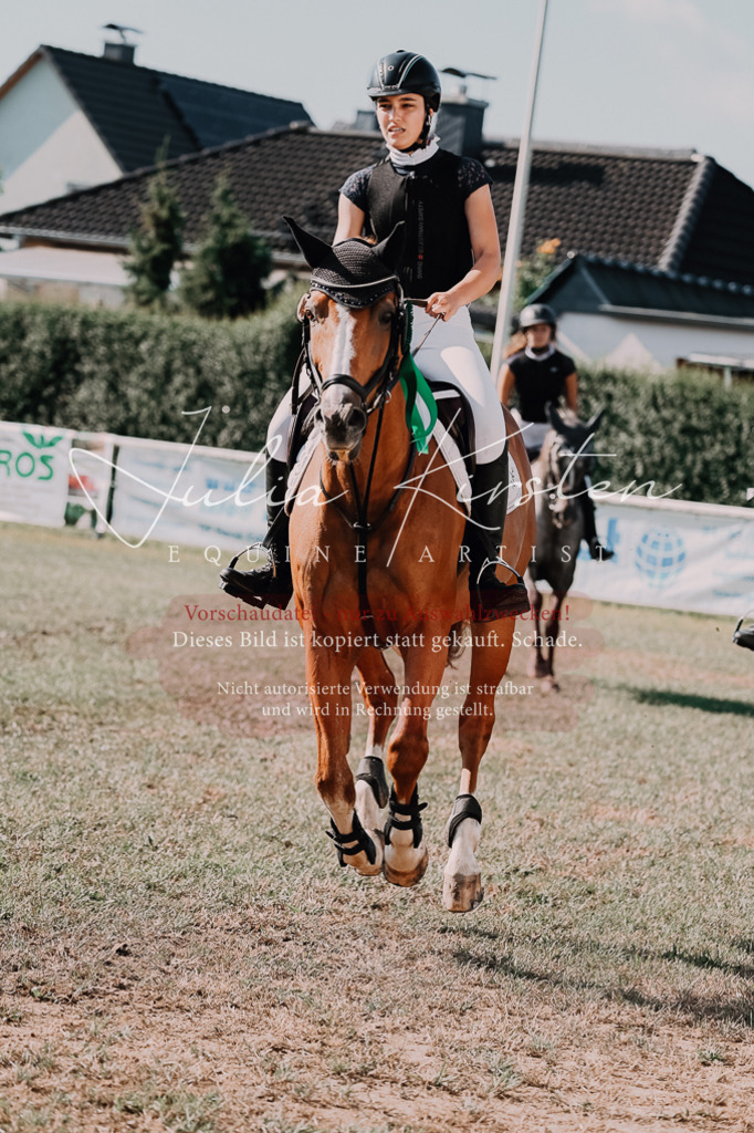 DSC_4951 | Pferde- und Turnierfotografie in Westsachsen. Pferdeportraits, Auftragszeichnungen und intuitive Kunst.