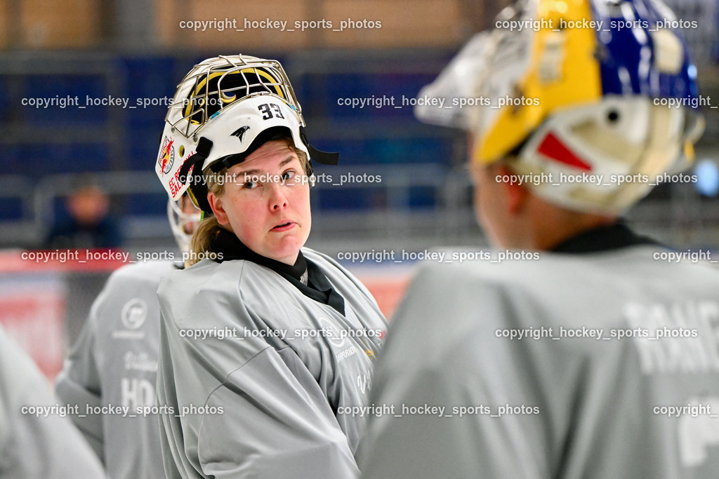 Z9B_9869 | hockey sports photos, Pressefotos, Sportfotos, hockey247, win 2day icehockeyleague, Handball Austria, Floorball Austria, ÖVV, Kärntner Eishockeyverband, KEHV, KFV, Kärntner Fussballverband, Österreichischer Volleyballverband, Alps Hockey League, ÖFB, 