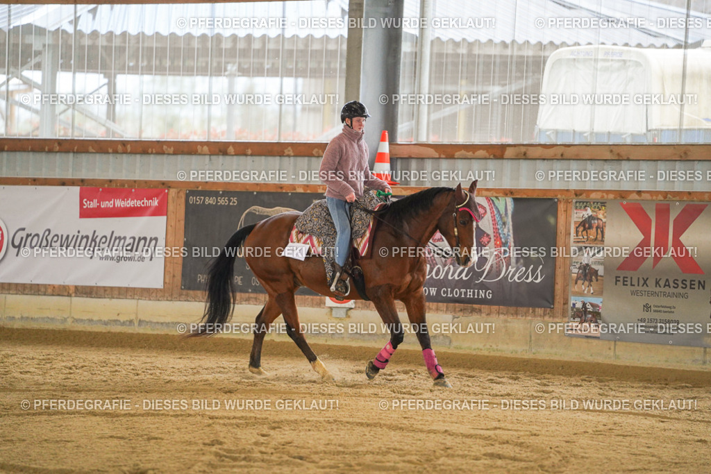 DSC06667 | Pferdegrafie