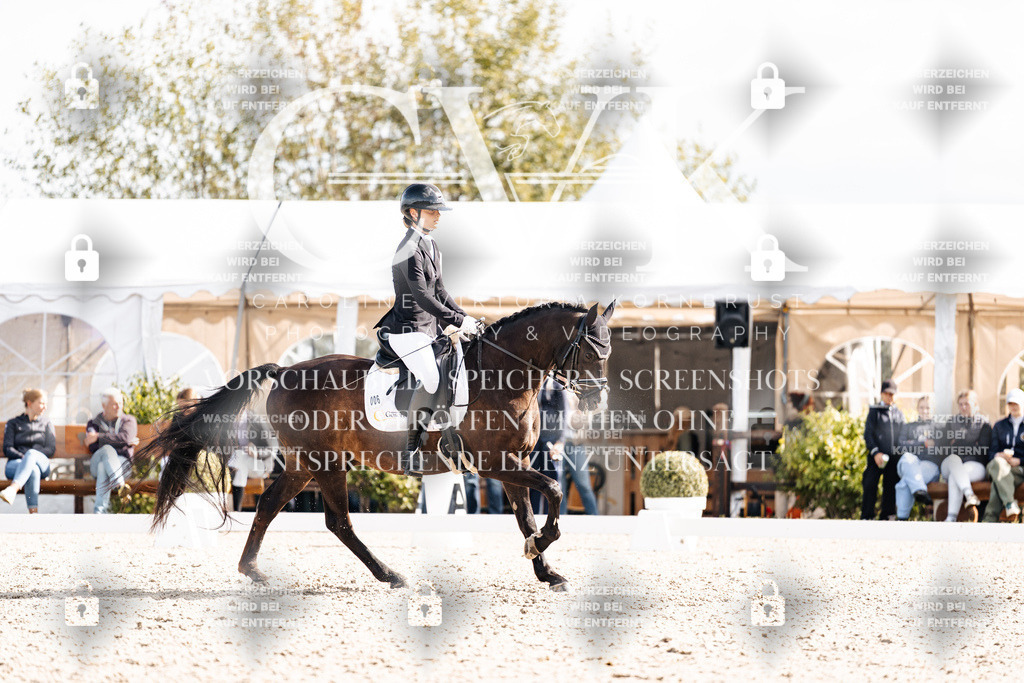 CK902127 | Turnierfotografie Pferdefotografie Trier Rheinland-Pfalz Pferdesport Reitsport Tierfotografie Sportfotografie Pferdevideo Pferdevideografie Equestrianvideography equestrianphotography  - Realisiert mit Pictrs.com