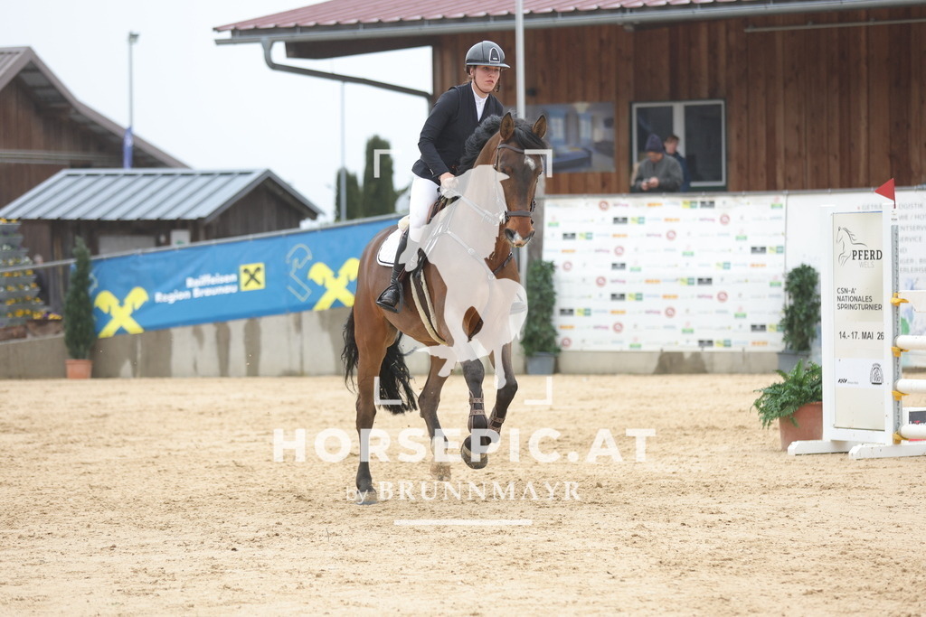0P6A1120 | Willkommen bei Brunnmayr - Design & Fotografie – Ihrem Spezialisten für Reitturniere und Pferdeveranstaltungen in Oberösterreich, Salzburg und Bayern! Seit über 17 Jahren sind wir leidenschaftlich dabei.