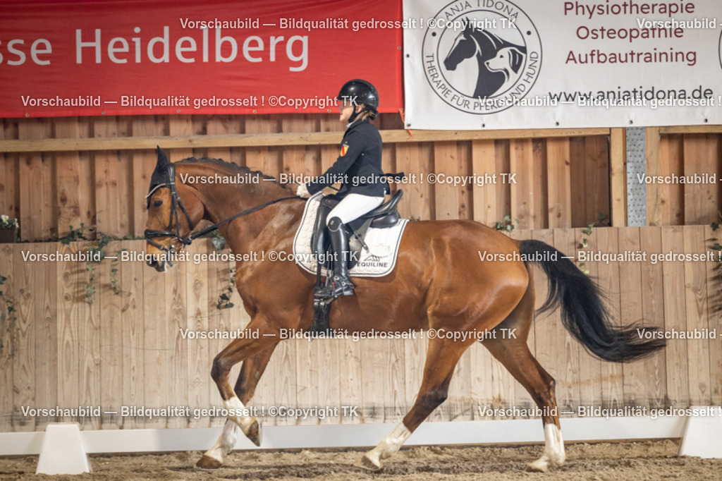 _D5A1486 | Emotionale Pferde- & People-Fotografie rund um Heidelberg, Leimen & Umgebung. Natürliche Fotos von Pferd, Mensch & Familie. Jetzt Termin sichern!