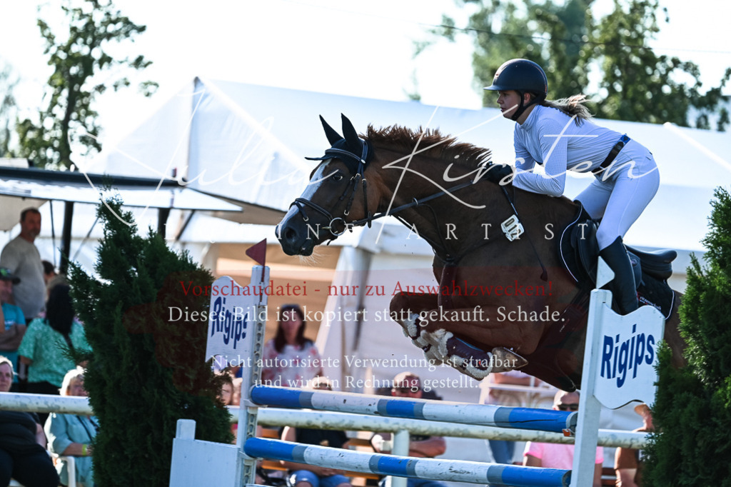 DSC_2784 | Pferde- und Turnierfotografie in Westsachsen. Pferdeportraits, Auftragszeichnungen und intuitive Kunst.