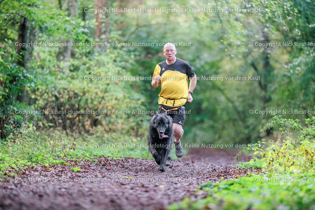 THS-HSV-Blumenthal-2026-Nickbest-Hundefotografie-0829 | Dein Hund! Dein Moment! Deine Erinnerungen! Hundefotografie in Bremen Blumenthal. Ich fange die besonderen Momente deines Vierbeiners ein – ob Indoor mit Blitzanlage oder in der freien Natur. Sicher dir dein Moment und dein Termin für eure Erinnerungen.