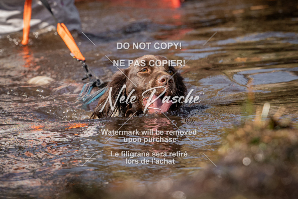 nelerasche_FS1330-1400_328 | nelerasche