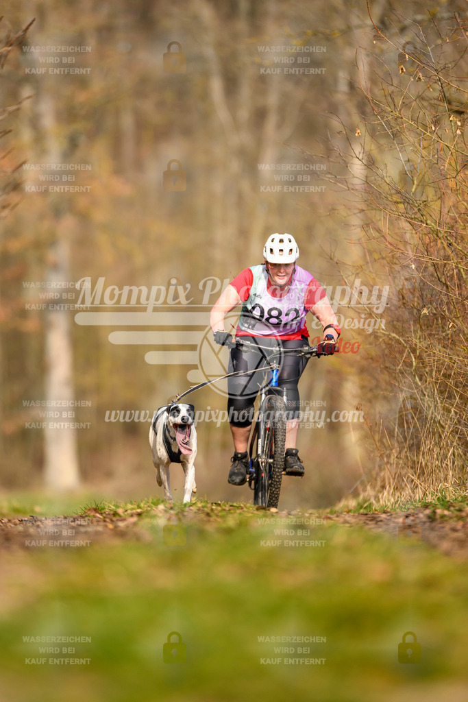 MompixPhotography_Schwabentrail2024_Bike-1 | PayLife