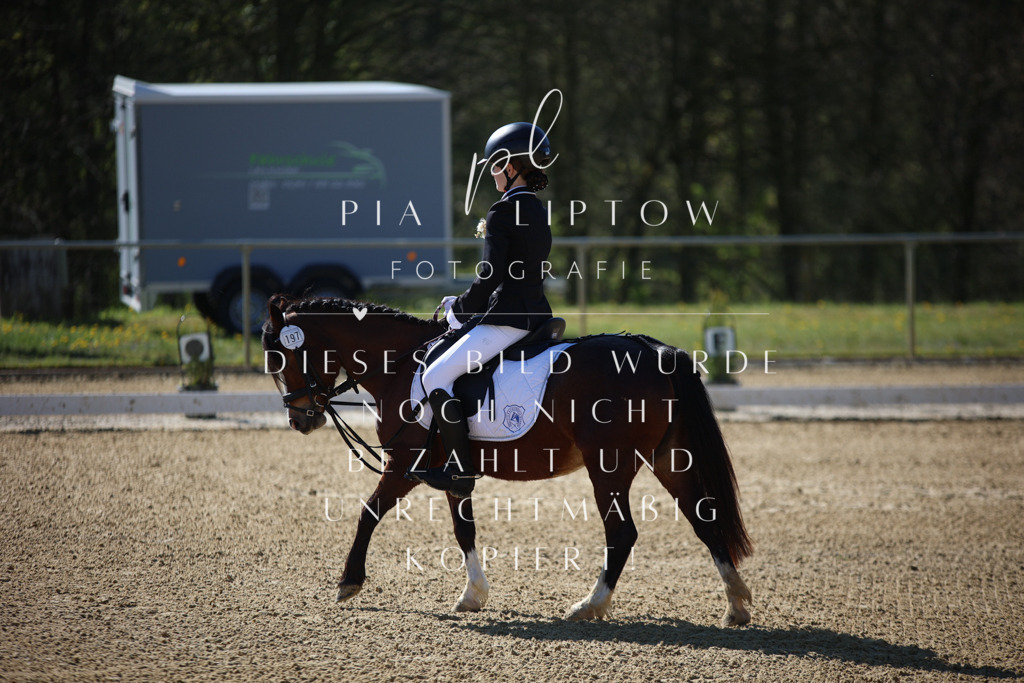 IMGT9619 | pl-fotografie